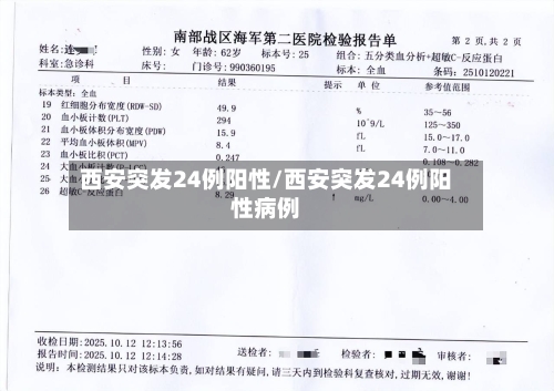 西安突发24例阳性/西安突发24例阳性病例-第2张图片