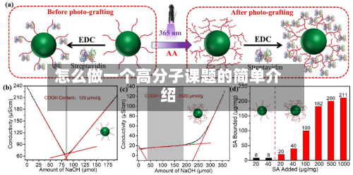 怎么做一个高分子课题的简单介绍