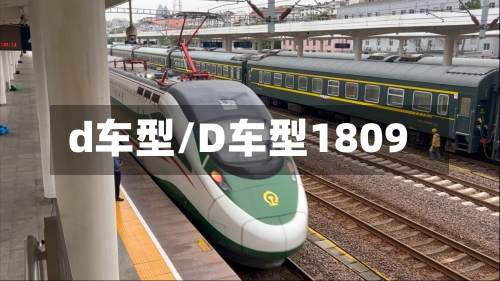 d车型/D车型1809-第2张图片