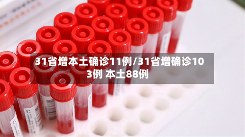 31省增本土确诊11例/31省增确诊103例 本土88例-第2张图片