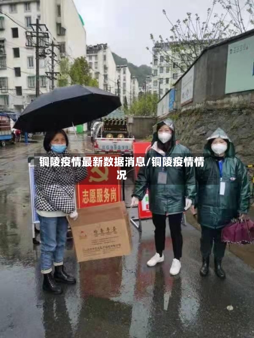 铜陵疫情最新数据消息/铜陵疫情情况-第2张图片