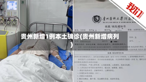 贵州新增1例本土确诊(贵州新增病列)