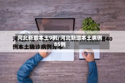 河北新增本土9例/河北新增本土病例85例-第2张图片