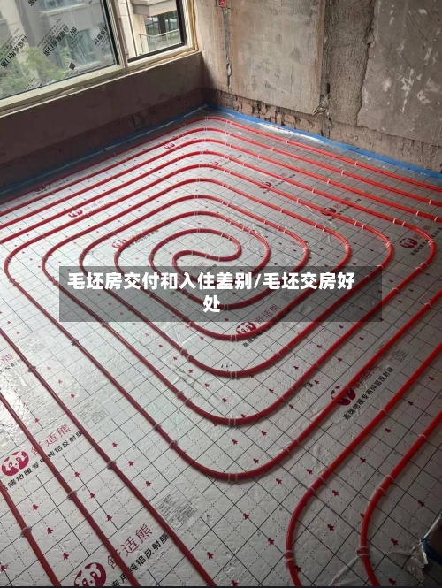 毛坯房交付和入住差别/毛坯交房好处-第2张图片