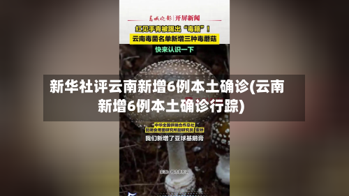 新华社评云南新增6例本土确诊(云南新增6例本土确诊行踪)-第3张图片