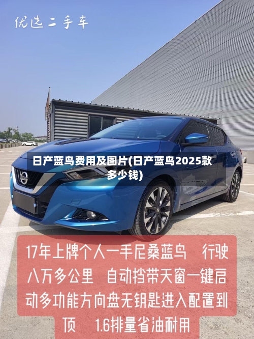 日产蓝鸟费用及图片(日产蓝鸟2025款多少钱)