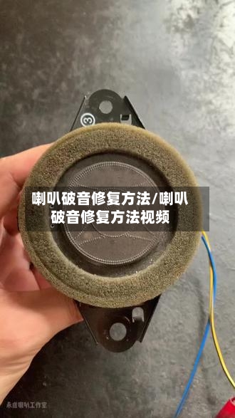 喇叭破音修复方法/喇叭破音修复方法视频