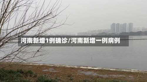 河南新增1例确诊/河南新增一例病例-第3张图片