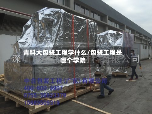 青科大包装工程学什么/包装工程是哪个学院