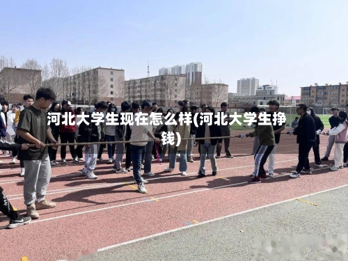 河北大学生现在怎么样(河北大学生挣钱)