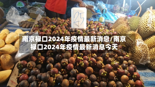 南京禄口2024年疫情最新消息/南京禄口2024年疫情最新消息今天-第2张图片