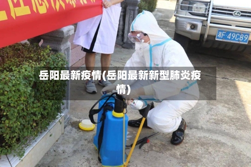 岳阳最新疫情(岳阳最新新型肺炎疫情)-第3张图片