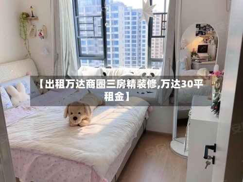 【出租万达商圈三房精装修,万达30平租金】-第3张图片