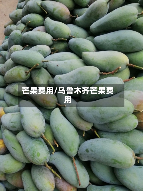 芒果费用/乌鲁木齐芒果费用-第2张图片