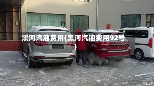 黑河汽油费用(黑河汽油费用92号)
