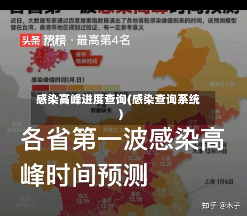 感染高峰进度查询(感染查询系统)-第3张图片