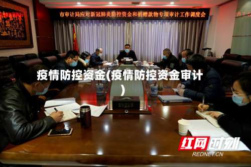 疫情防控资金(疫情防控资金审计)-第2张图片
