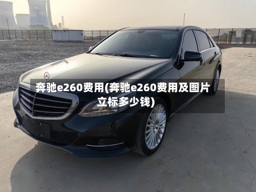 奔驰e260费用(奔驰e260费用及图片立标多少钱)