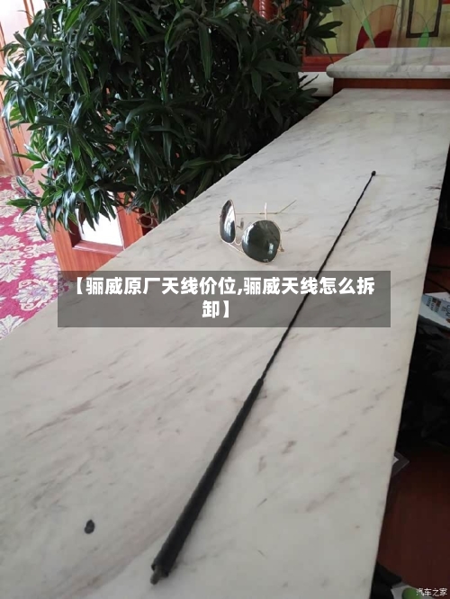 【骊威原厂天线价位,骊威天线怎么拆卸】-第2张图片