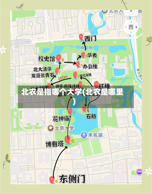北农是指哪个大学(北农是哪里)