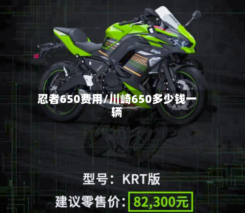 忍者650费用/川崎650多少钱一辆