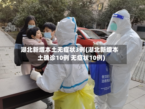 湖北新增本土无症状3例(湖北新增本土确诊10例 无症状10例)