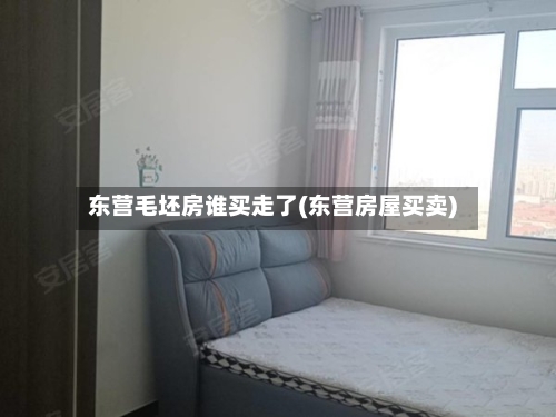 东营毛坯房谁买走了(东营房屋买卖)-第3张图片