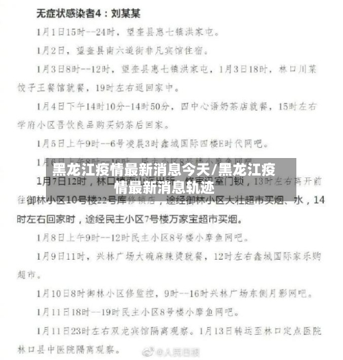 黑龙江疫情最新消息今天/黑龙江疫情最新消息轨迹-第2张图片