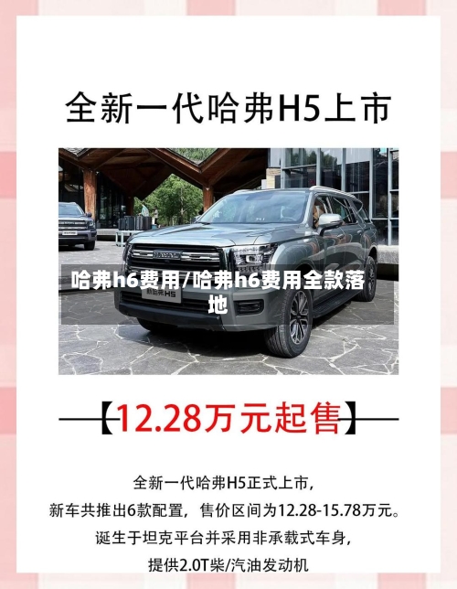 哈弗h6费用/哈弗h6费用全款落地-第3张图片