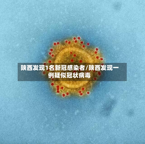 陕西发现1名新冠感染者/陕西发现一例疑似冠状病毒