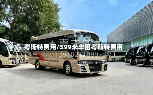 考斯特费用/599米丰田考斯特费用