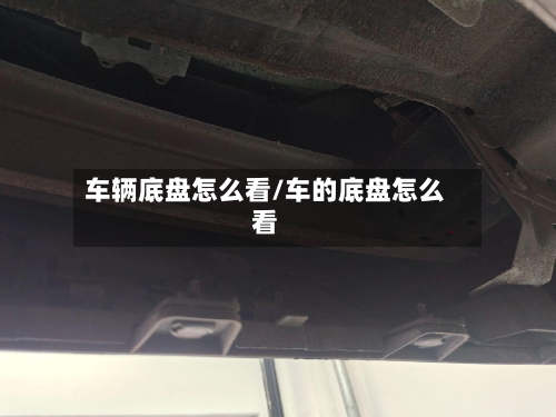 车辆底盘怎么看/车的底盘怎么看-第2张图片