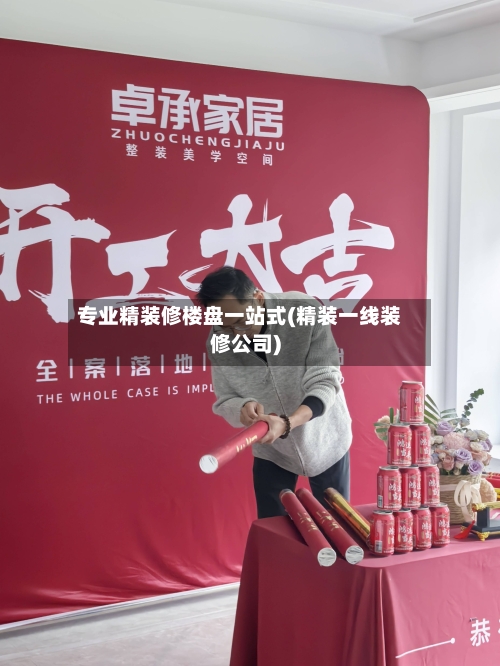 专业精装修楼盘一站式(精装一线装修公司)-第2张图片