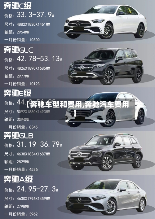 【奔驰车型和费用,奔驰汽车费用】-第3张图片