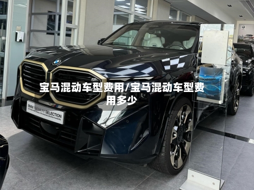 宝马混动车型费用/宝马混动车型费用多少