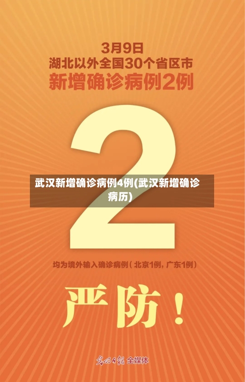武汉新增确诊病例4例(武汉新增确诊病历)-第3张图片