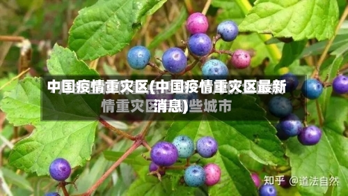 中国疫情重灾区(中国疫情重灾区最新消息)