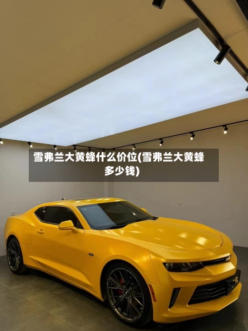 雪弗兰大黄蜂什么价位(雪弗兰大黄蜂多少钱)-第3张图片
