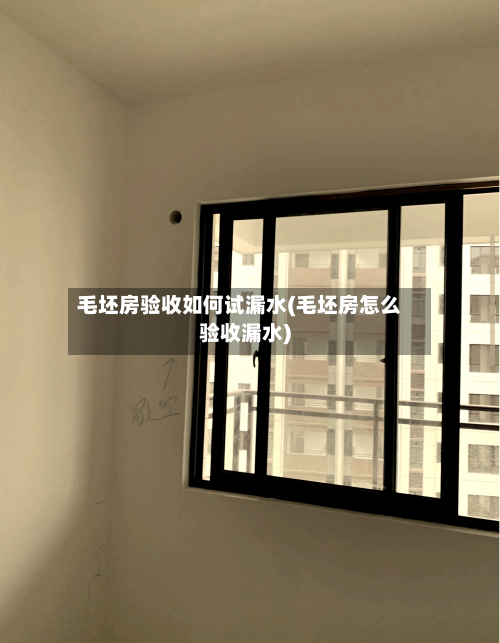 毛坯房验收如何试漏水(毛坯房怎么验收漏水)-第2张图片