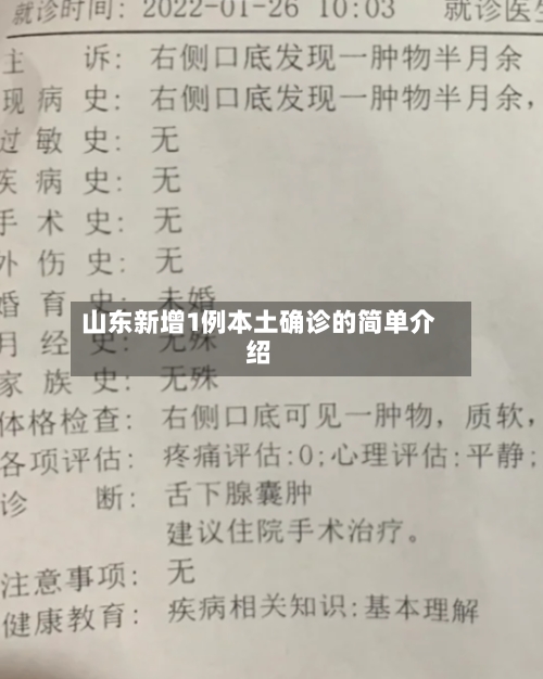 山东新增1例本土确诊的简单介绍