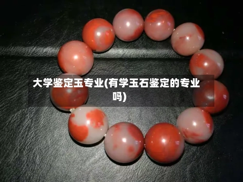 大学鉴定玉专业(有学玉石鉴定的专业吗)