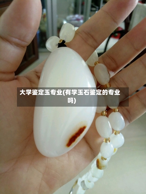 大学鉴定玉专业(有学玉石鉴定的专业吗)-第3张图片