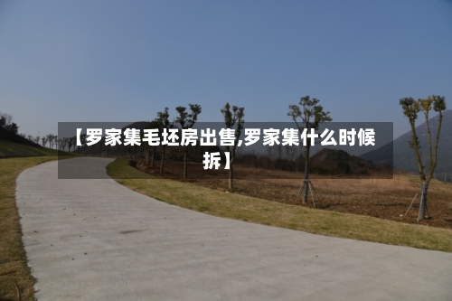 【罗家集毛坯房出售,罗家集什么时候拆】-第2张图片