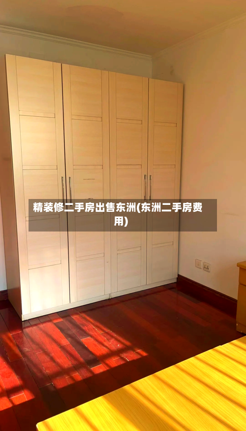 精装修二手房出售东洲(东洲二手房费用)