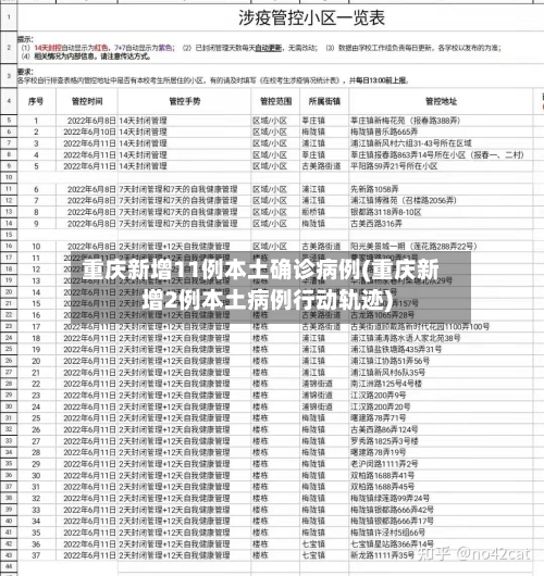 重庆新增11例本土确诊病例(重庆新增2例本土病例行动轨迹)-第2张图片