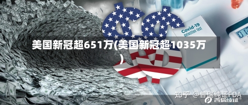 美国新冠超651万(美国新冠超1035万)-第2张图片
