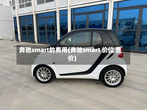 奔驰smart的费用(奔驰smart 价位 售价)-第3张图片